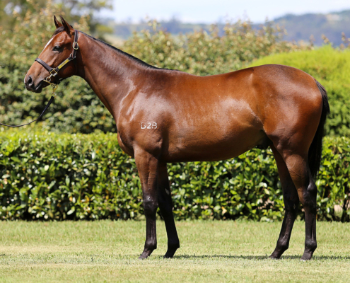 Lot 375
